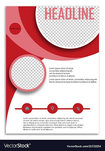 Infographics in brochures for minimalist design vector image