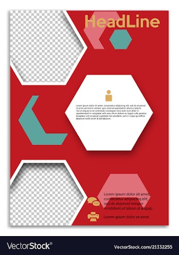 Infographics in brochures for minimalist design vector image