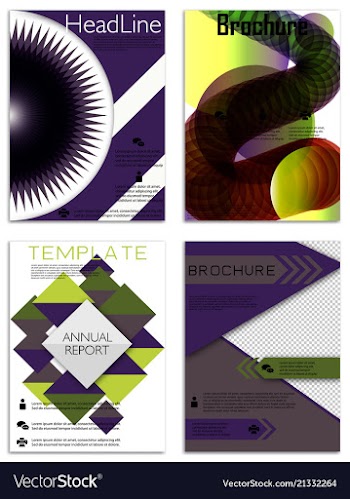 Infographics in brochures for minimalist design vector image