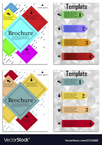 Infographics in brochures for minimalist design vector image