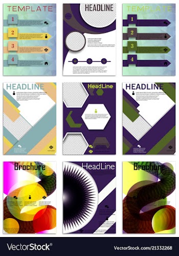 Infographics in brochures for minimalist design vector image