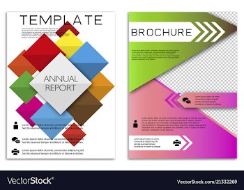 Infographics in brochures for minimalist design vector image