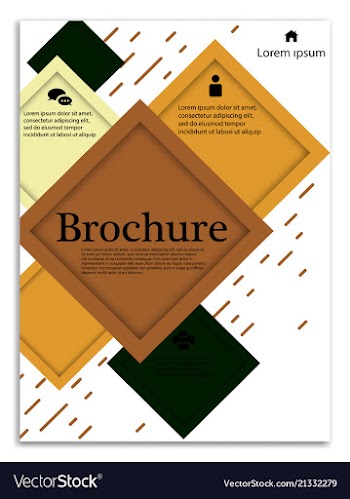 Infographics in brochures for minimalist design vector image