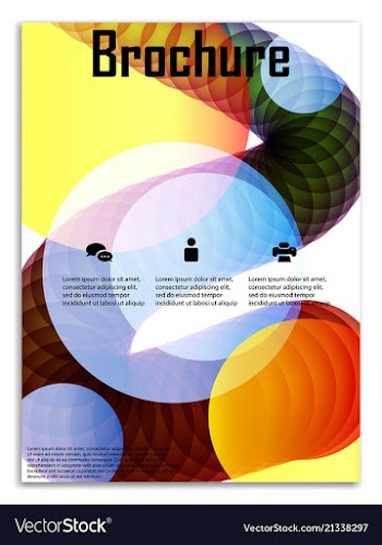 Infographics in brochures for minimalist design vector image