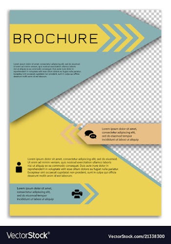 Infographics in brochures for minimalist design vector image
