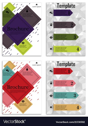 Infographics in brochures for minimalist design vector image