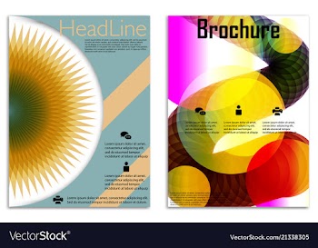 Infographics in brochures for minimalist design vector image