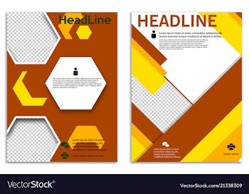 Infographics in brochures for minimalist design vector image