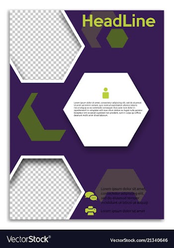 Infographics in brochures for minimalist design vector image