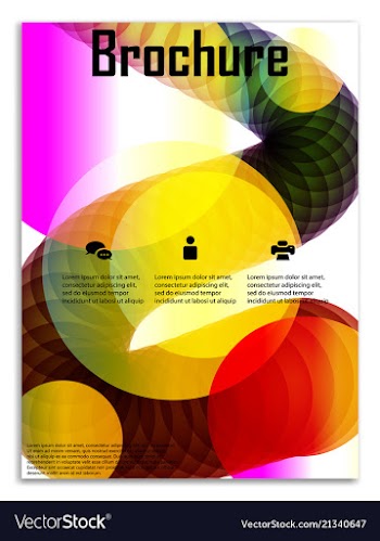 Infographics in brochures for minimalist design vector image