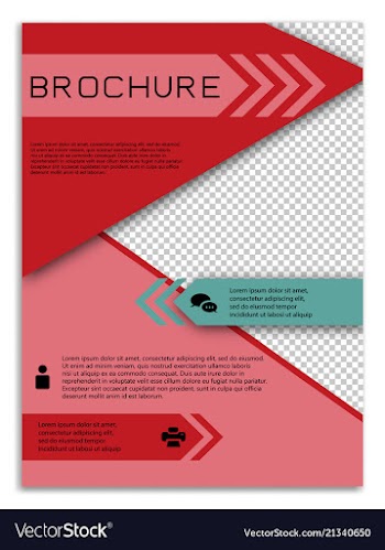 Infographics in brochures for minimalist design vector image