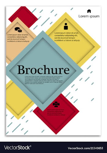 Infographics in brochures for minimalist design vector image