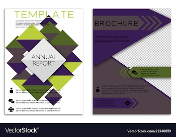 Infographics in brochures for minimalist design vector image