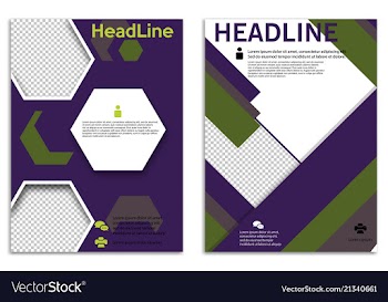 Infographics in brochures for minimalist design vector image