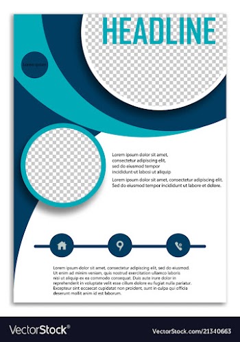 Infographics in brochures for minimalist design vector image