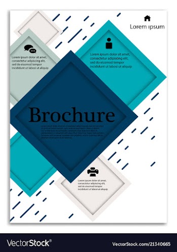 Infographics in brochures for minimalist design vector image