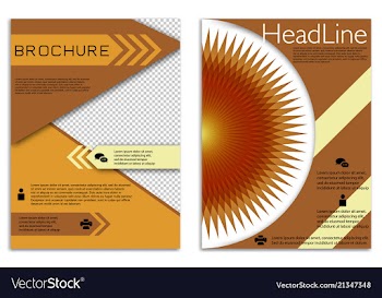 Infographics in brochures for minimalist design vector image