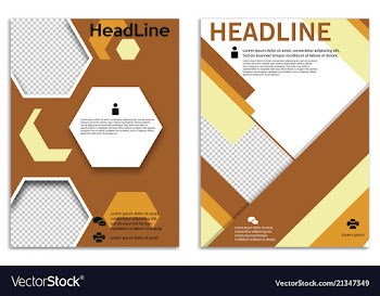 Infographics in brochures for minimalist design vector image