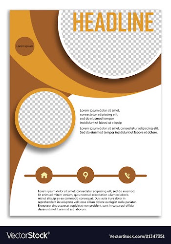 Infographics in brochures for minimalist design vector image
