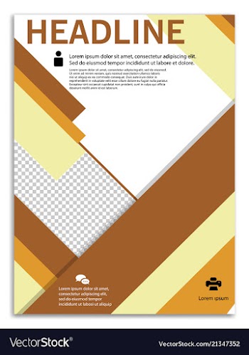 Infographics in brochures for minimalist design vector image