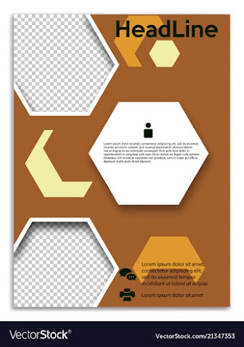Infographics in brochures for minimalist design vector image