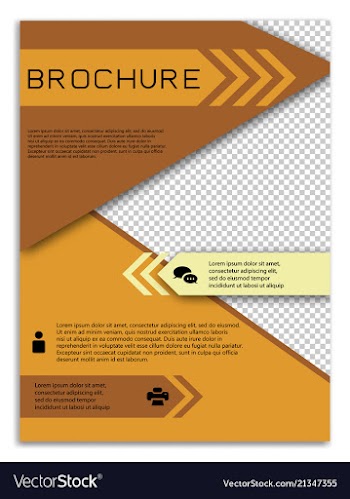 Infographics in brochures for minimalist design vector image