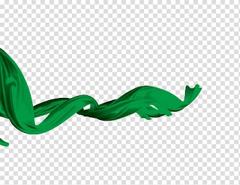 Information Silk Ribbon World Wide Web, Green ribbon decoration transparent background PNG clipart