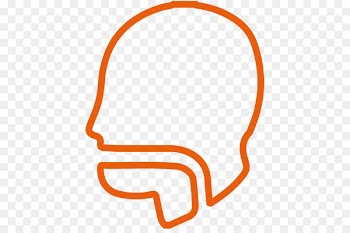Information Speech and Language Therapist Drechtsteden - barre button 