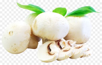 Ingredient Recipe Mushroom Food Vegetable - Fresh Mushrooms 