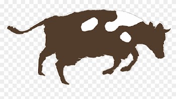 Initially, It's A Bit Bewildering To Come Across A - Ox