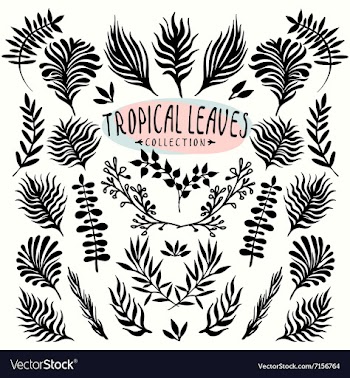 ink drawn leaves collection