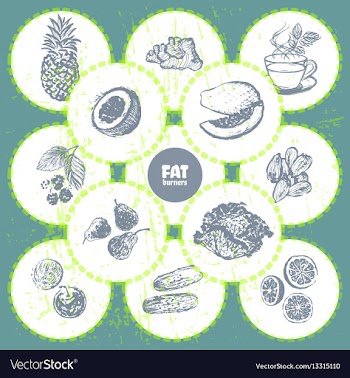 Ink hand drawn fat burners fruits and veggies vector image