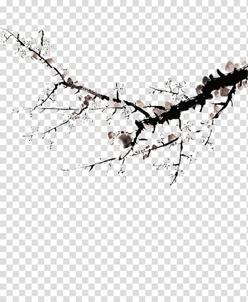 Ink wash painting Black and white Chinese painting, Plum flower transparent background PNG clipart
