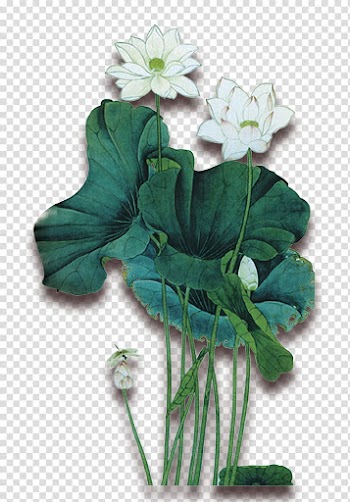 Ink wash painting Chinoiserie, Lotus leaf transparent background PNG clipart