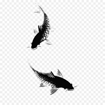 Ink wash painting Fish Ink brush - Ink fish,fish 
