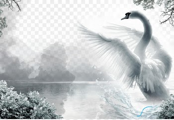 Ink wash painting Sherwin-Williams Publicity - swan 