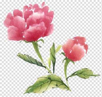 Ink wash painting Watercolor painting Flower Ipomoea nil Moutan peony, Blooming peony transparent background PNG clipart