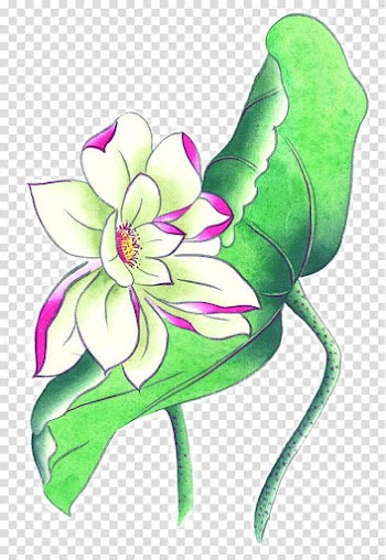 Ink wash painting Watercolor painting, Hand-painted lotus transparent background PNG clipart