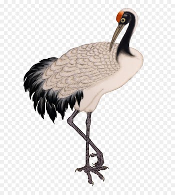 Ink wash painting - white crane,Crane 