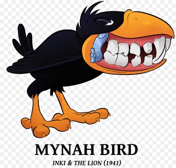 Inki Bird Common myna Beak - bird 