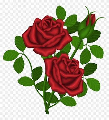 Innovation Inspiration Roses Clipart Red Png Picture - Roses Clipart