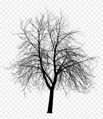 Insane Illusions Friday March 4 2011 Wqgerf Clipart - Trees Silhouette Png