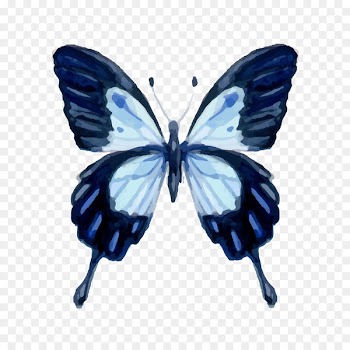 Insect, Brushfooted Butterflies, Gossamerwinged Butterflies, Moths And Butterflies, Butterfly PNG