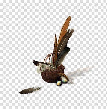 Insect Butterfly 2M Wing Butterflies and moths, insect transparent background PNG clipart