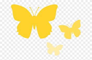 Insect Butterfly, Animal, Nature, Yellow, Insect - Borboleta Amarela Em Png