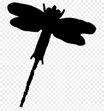 Insect Butterfly Clip art Line Silhouette -  