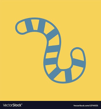 Insect caterpillar vector image