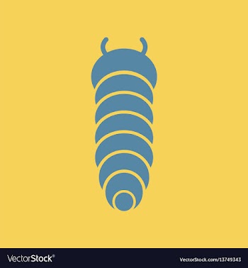Insect caterpillar vector image