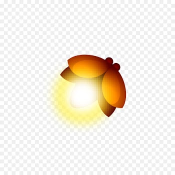 Insect Clip art - Firefly light 
