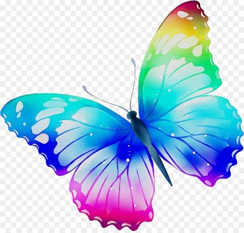 Insect Clip art Monarch butterfly Portable Network Graphics Brush-footed butterflies -  
